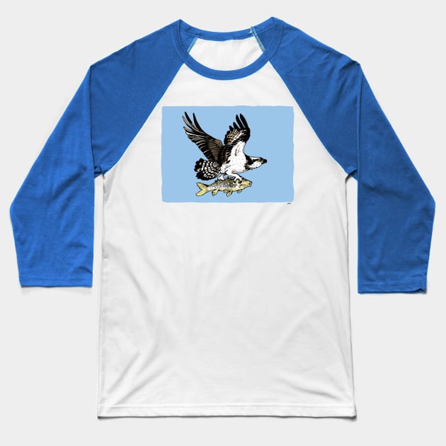 Osprey in Flight Baseball T-Shirt by OBSUART